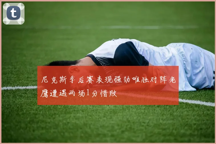 尼克斯季后赛表现强劲唯独对阵老鹰遭遇两场1分惜败