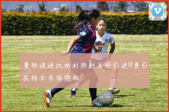 曼联追逐托纳利热刺高价引进M费引发转会市场热潮